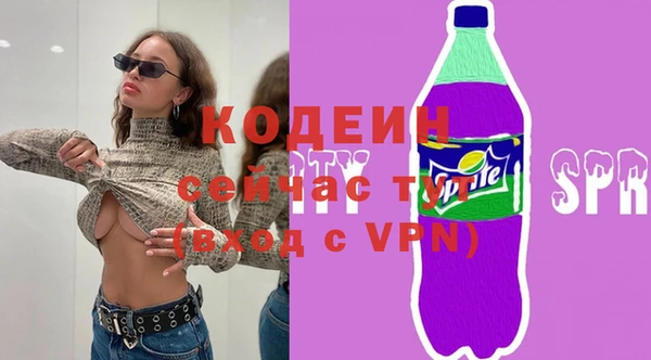 твердый Шадринск