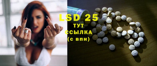 твердый Шадринск