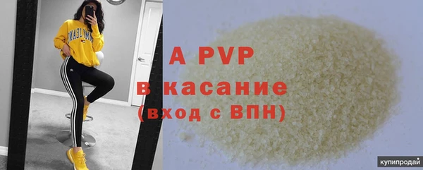 прущие крисы Анжеро-Судженск
