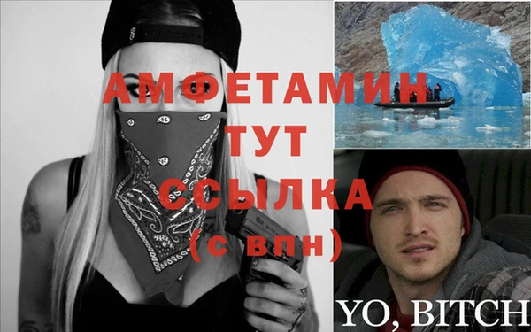 сатива Апатиты