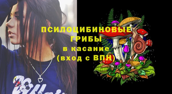твердый Шадринск
