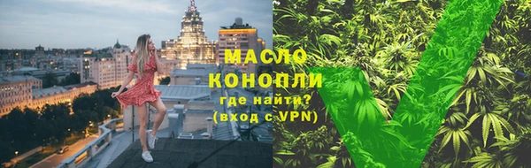 твердый Шадринск