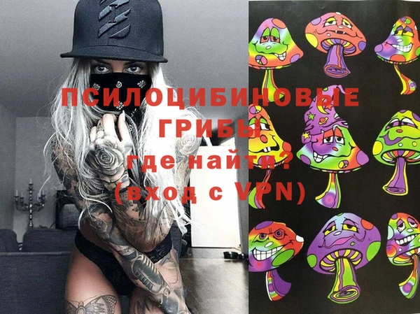 гашик Шарыпово