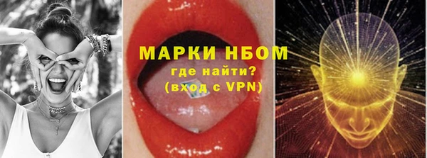 твердый Шадринск