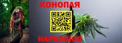 эйфоретик Аргун